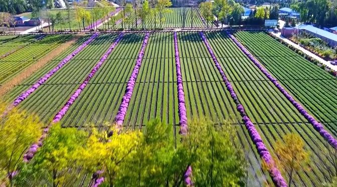 �򲩡�max(�й���)�����ٷ���վ-Unique Platform