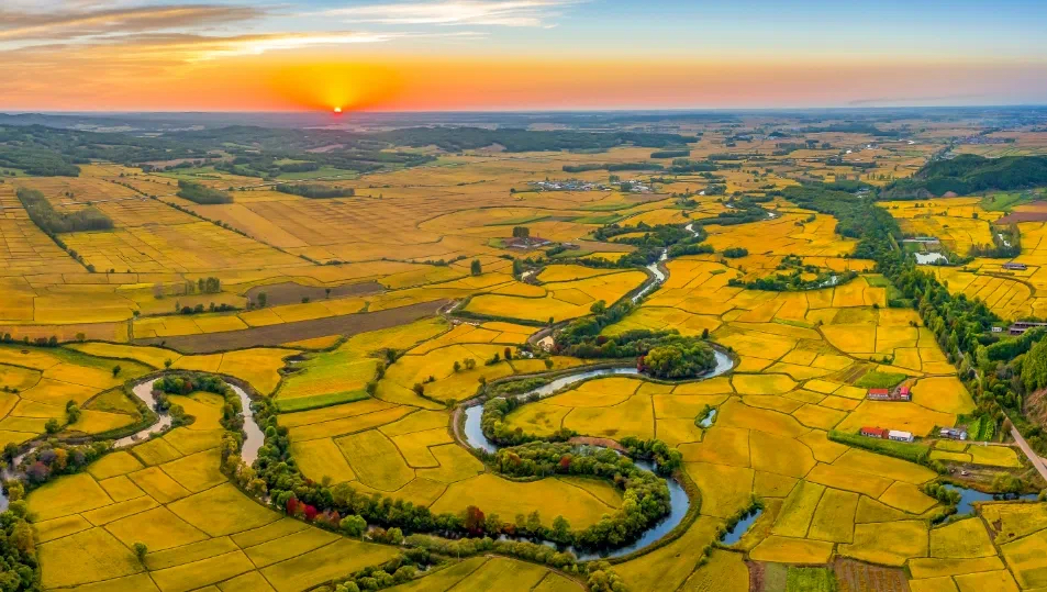 �򲩡�max(�й���)�����ٷ���վ-Unique Platform