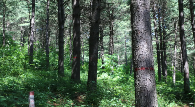 �򲩡�max(�й���)�����ٷ���վ-Unique Platform