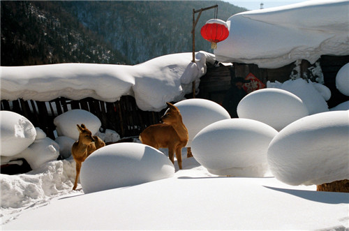 020��ѩ�羫�顷   ���ߣ������꣨���.jpg