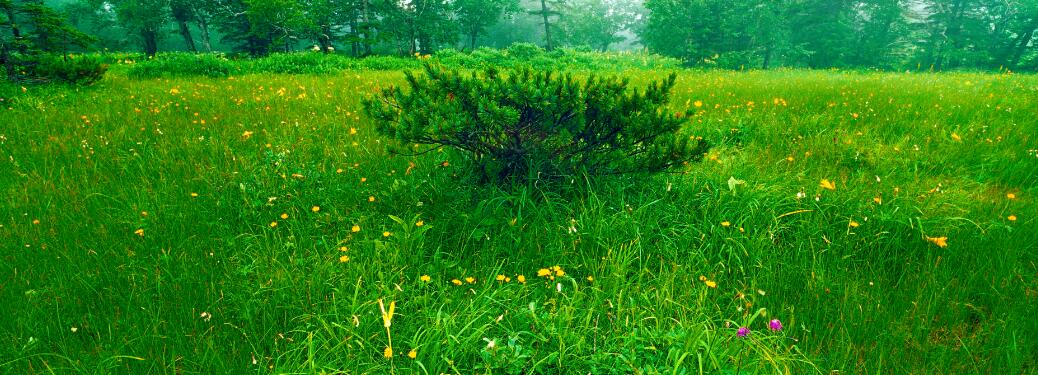 �򲩡�max(�й���)�����ٷ���վ-Unique Platform