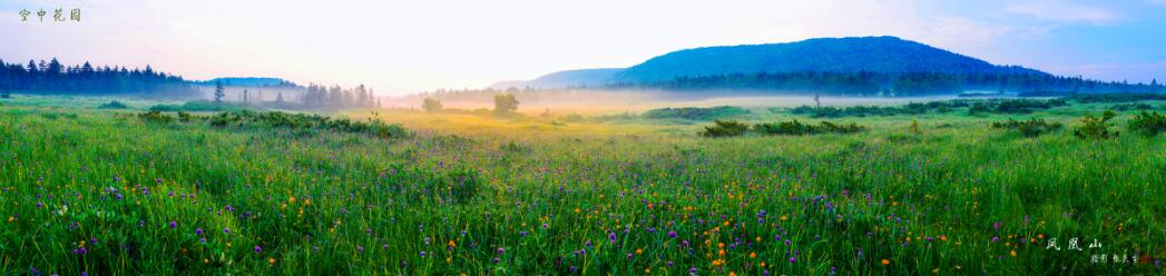 �򲩡�max(�й���)�����ٷ���վ-Unique Platform