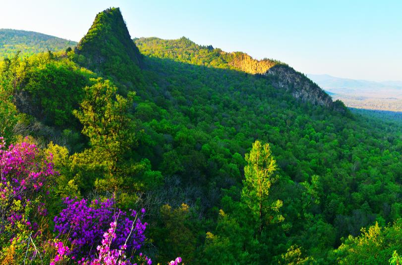 �򲩡�max(�й���)�����ٷ���վ-Unique Platform