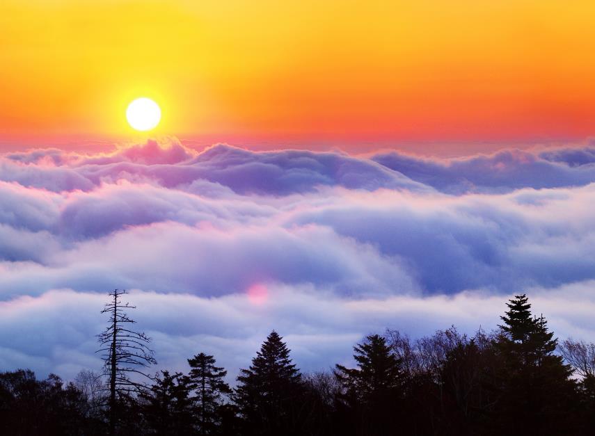 �򲩡�max(�й���)�����ٷ���վ-Unique Platform