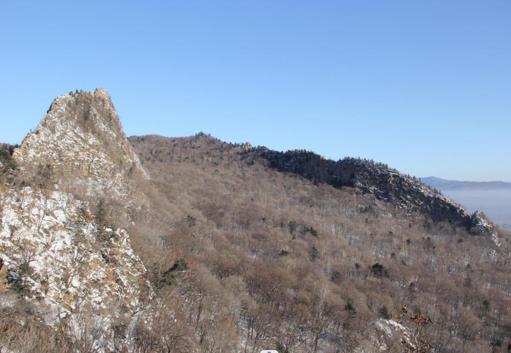 �򲩡�max(�й���)�����ٷ���վ-Unique Platform