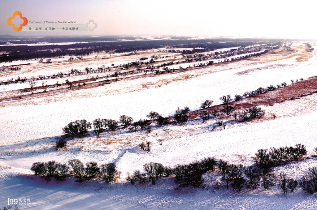 �򲩡�max(�й���)�����ٷ���վ-Unique Platform