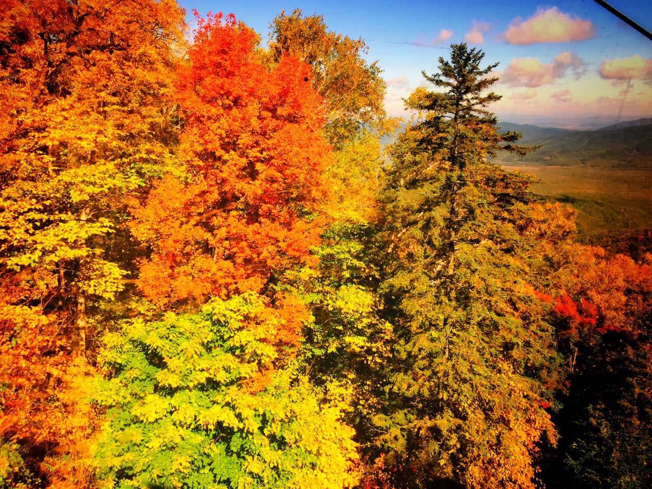 �򲩡�max(�й���)�����ٷ���վ-Unique Platform