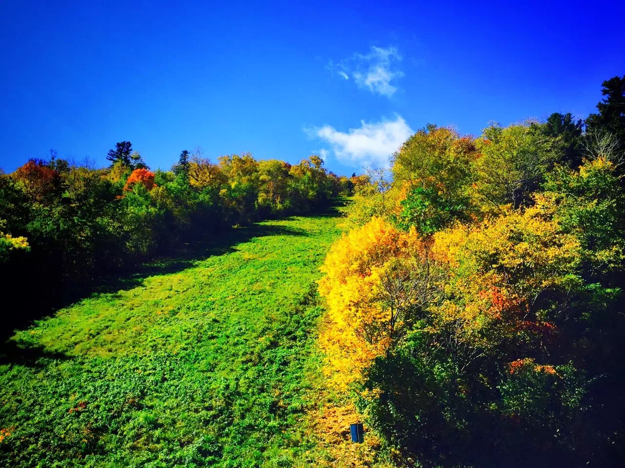 �򲩡�max(�й���)�����ٷ���վ-Unique Platform