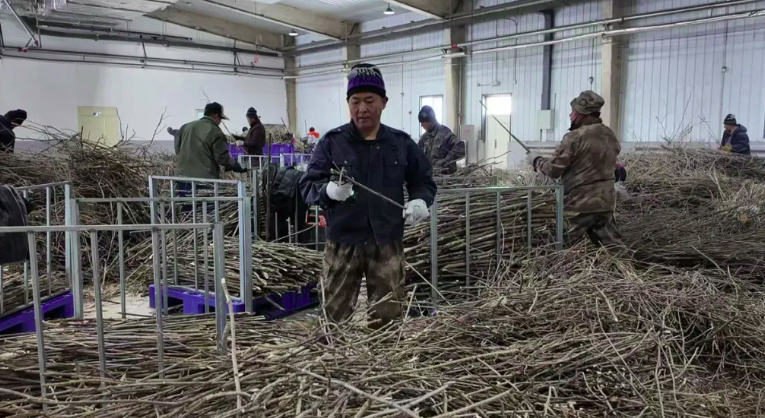 �򲩡�max(�й���)�����ٷ���վ-Unique Platform