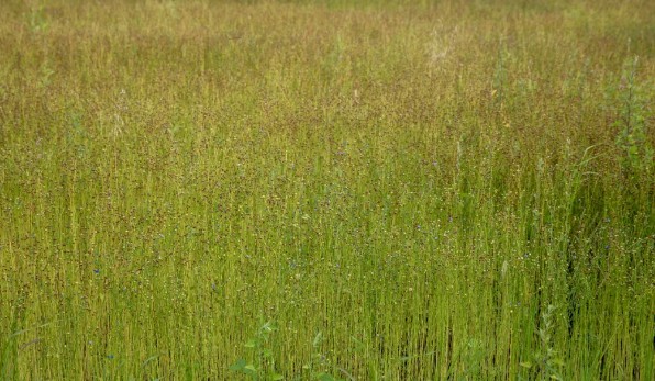 �򲩡�max(�й���)�����ٷ���վ-Unique Platform