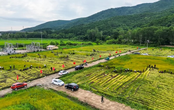 �򲩡�max(�й���)�����ٷ���վ-Unique Platform