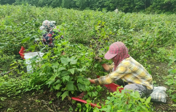 �򲩡�max(�й���)�����ٷ���վ-Unique Platform