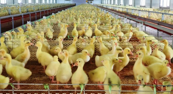 �򲩡�max(�й���)�����ٷ���վ-Unique Platform