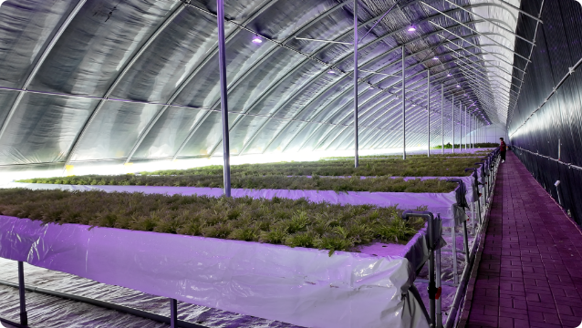 �򲩡�max(�й���)�����ٷ���վ-Unique Platform