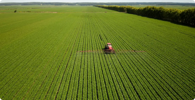 �򲩡�max(�й���)�����ٷ���վ-Unique Platform