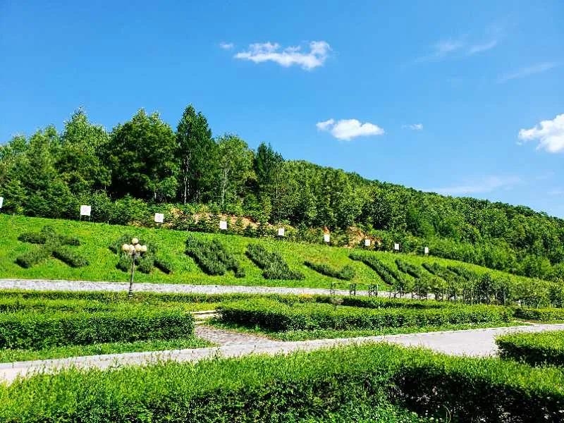 �򲩡�max(�й���)�����ٷ���վ-Unique Platform