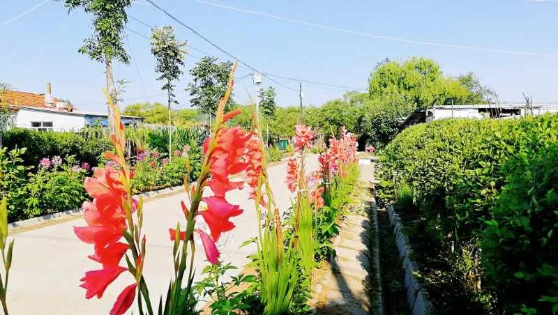 �򲩡�max(�й���)�����ٷ���վ-Unique Platform