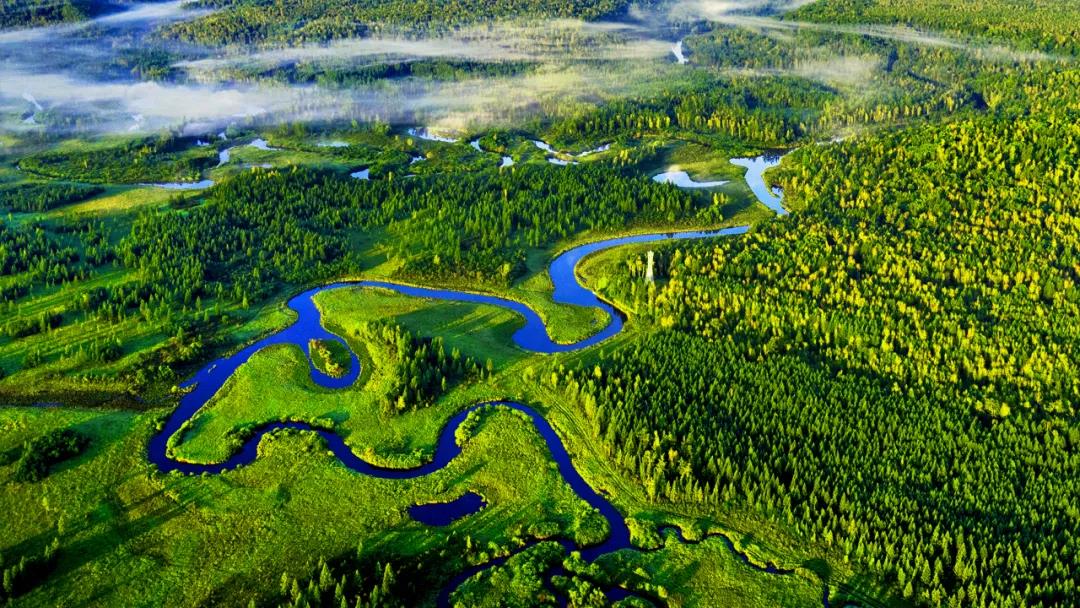 �򲩡�max(�й���)�����ٷ���վ-Unique Platform