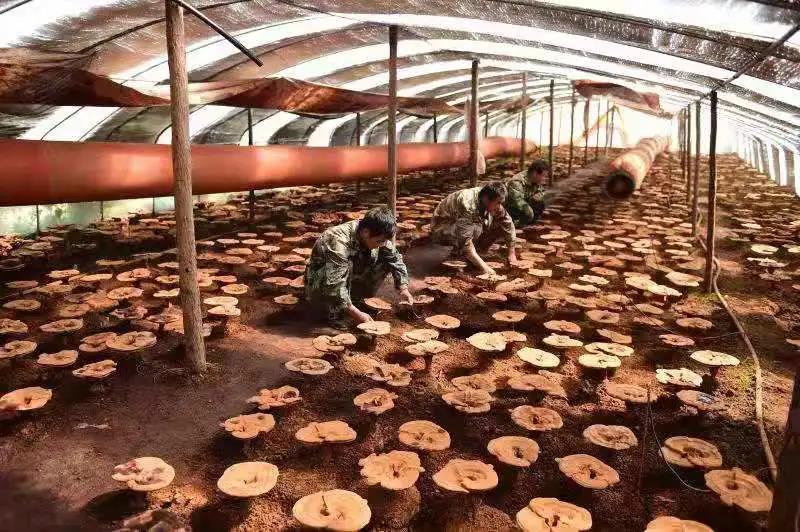 �򲩡�max(�й���)�����ٷ���վ-Unique Platform