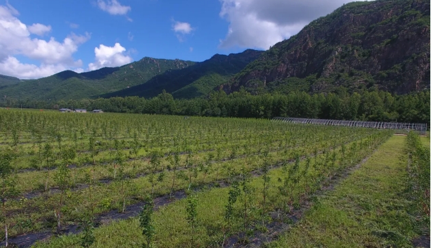 �򲩡�max(�й���)�����ٷ���վ-Unique Platform