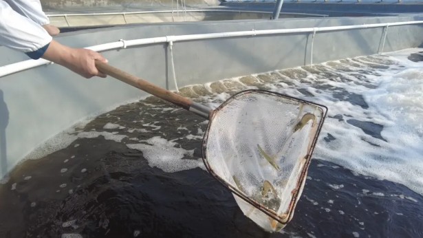 �򲩡�max(�й���)�����ٷ���վ-Unique Platform