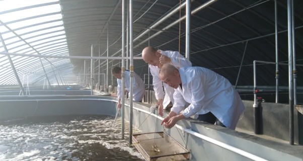 �򲩡�max(�й���)�����ٷ���վ-Unique Platform