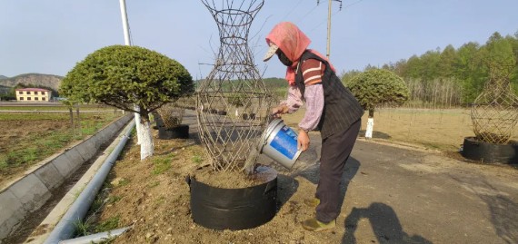 �򲩡�max(�й���)�����ٷ���վ-Unique Platform