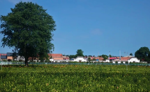 �򲩡�max(�й���)�����ٷ���վ-Unique Platform