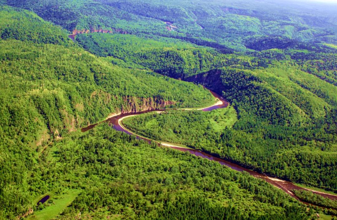 �򲩡�max(�й���)�����ٷ���վ-Unique Platform