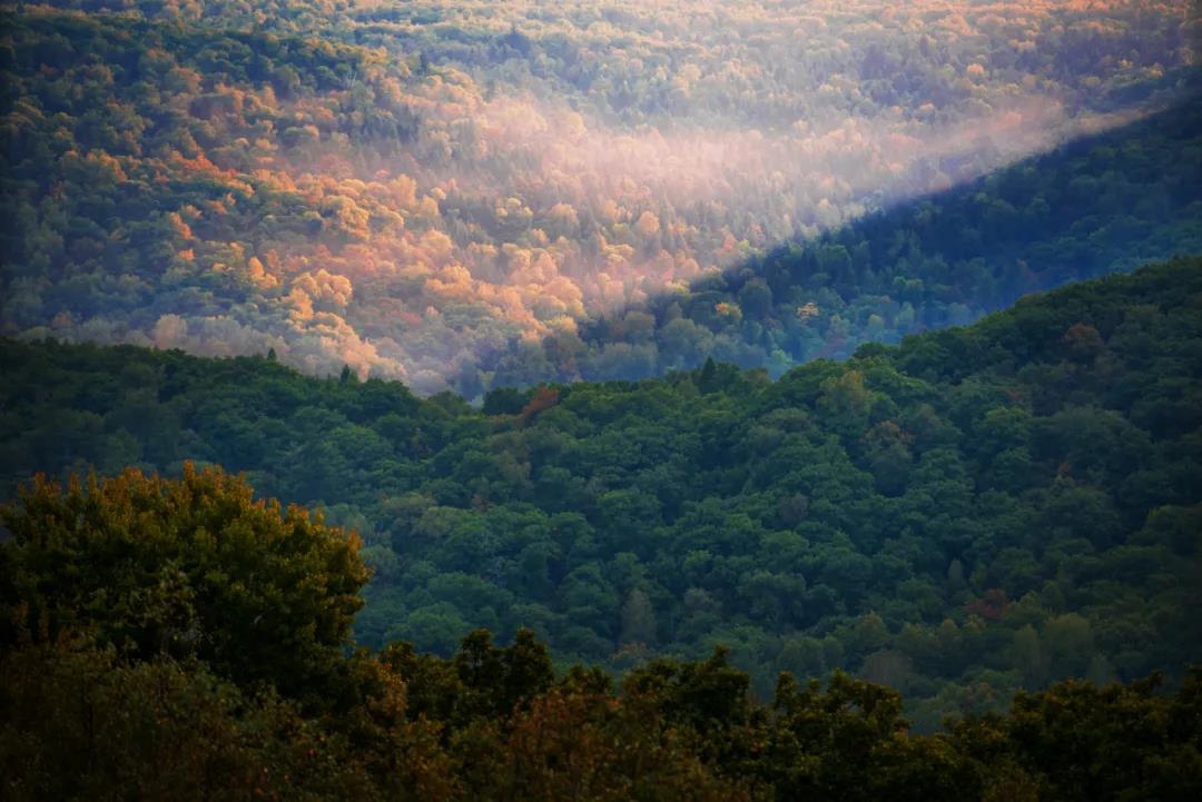 Íò²©¡¤max(ÖйúÓÎ)ÌåÓý¹Ù·½ÍøÕ¾-Unique Platform