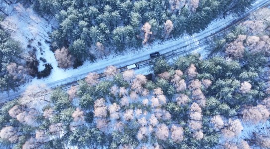 �򲩡�max(�й���)�����ٷ���վ-Unique Platform