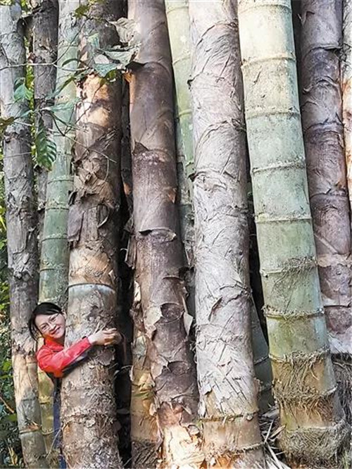 �򲩡�max(�й���)�����ٷ���վ-Unique Platform