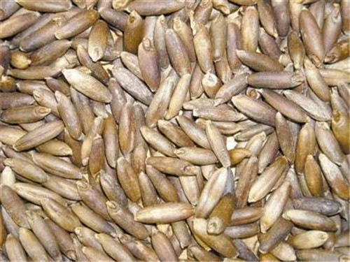 �򲩡�max(�й���)�����ٷ���վ-Unique Platform