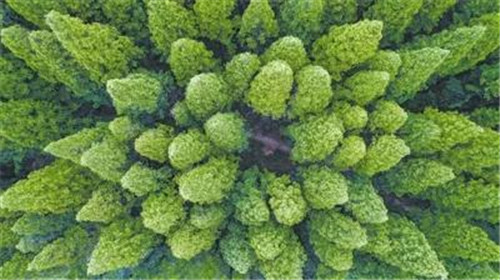 �򲩡�max(�й���)�����ٷ���վ-Unique Platform