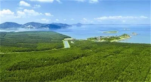 �򲩡�max(�й���)�����ٷ���վ-Unique Platform