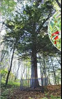 �򲩡�max(�й���)�����ٷ���վ-Unique Platform