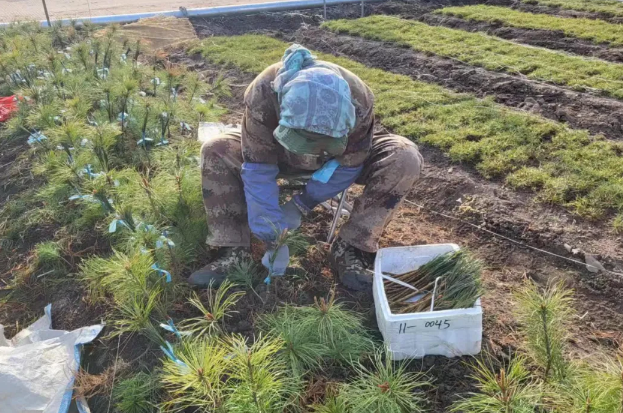 �򲩡�max(�й���)�����ٷ���վ-Unique Platform