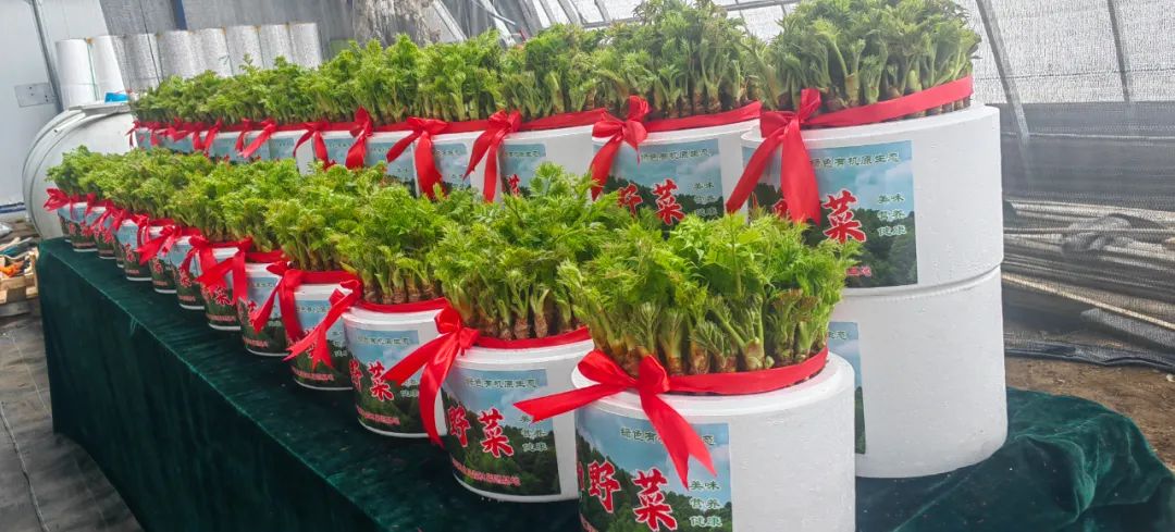 �򲩡�max(�й���)�����ٷ���վ-Unique Platform