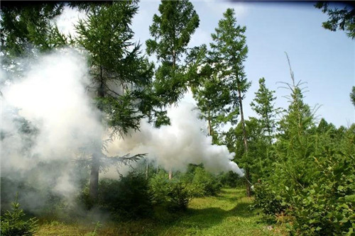 �򲩡�max(�й���)�����ٷ���վ-Unique Platform