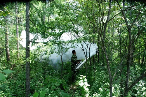 �򲩡�max(�й���)�����ٷ���վ-Unique Platform