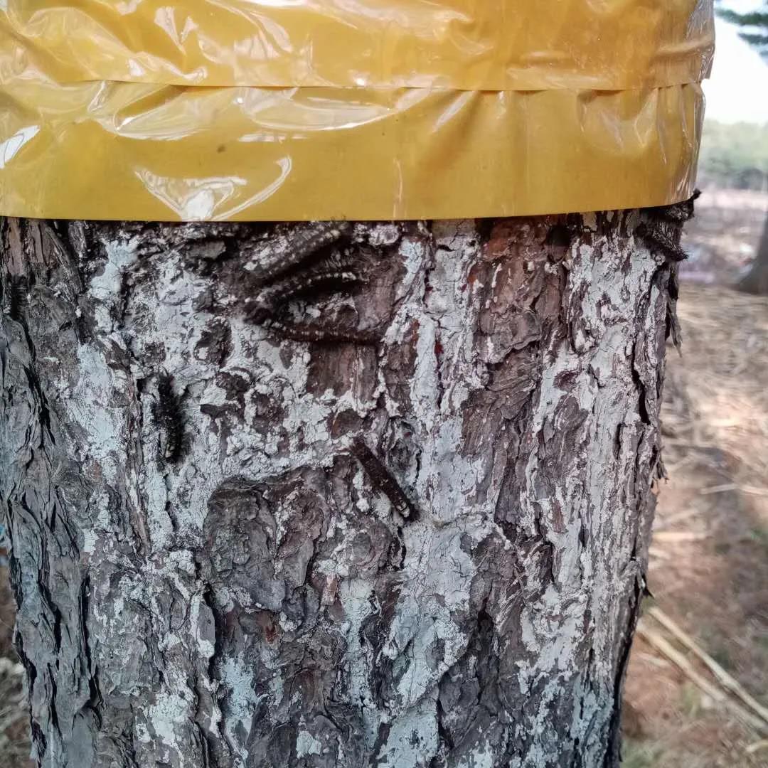 �򲩡�max(�й���)�����ٷ���վ-Unique Platform