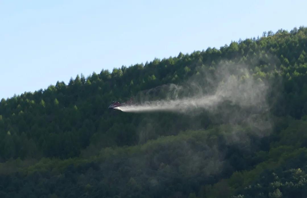 �򲩡�max(�й���)�����ٷ���վ-Unique Platform