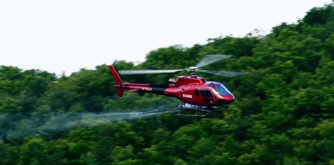 �򲩡�max(�й���)�����ٷ���վ-Unique Platform