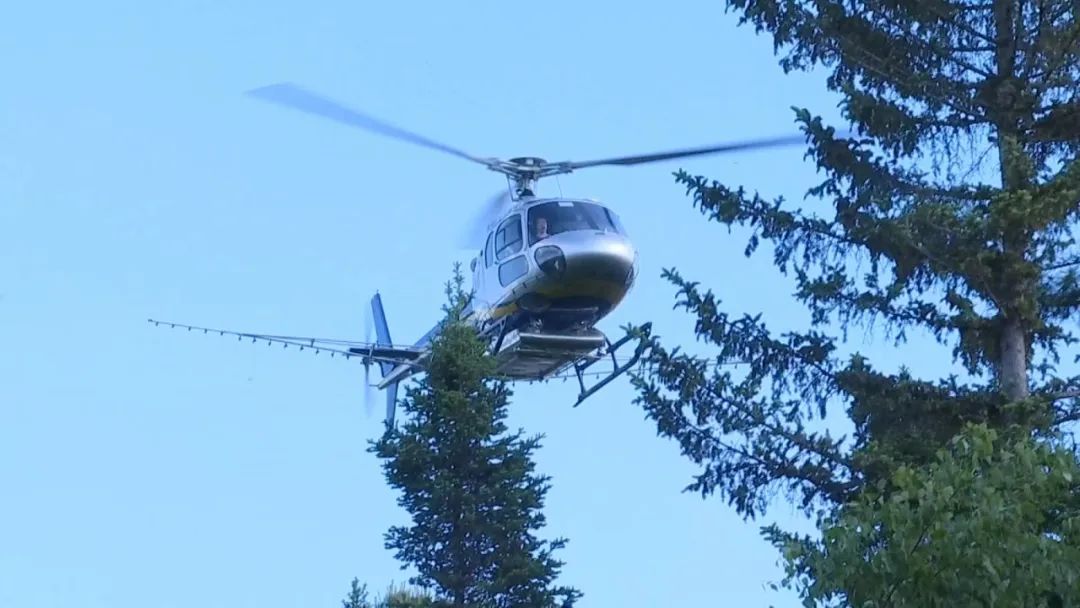 �򲩡�max(�й���)�����ٷ���վ-Unique Platform