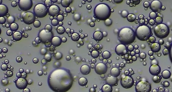 �򲩡�max(�й���)�����ٷ���վ-Unique Platform