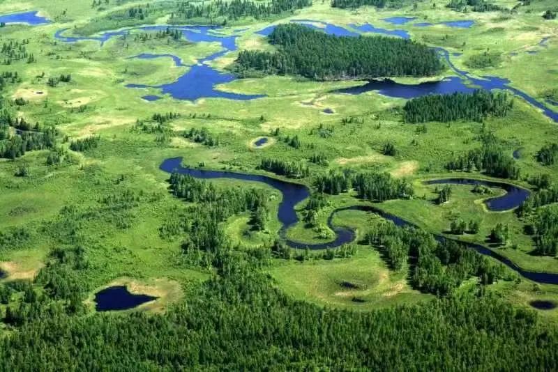 �򲩡�max(�й���)�����ٷ���վ-Unique Platform