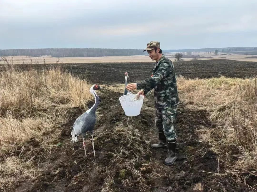 �򲩡�max(�й���)�����ٷ���վ-Unique Platform