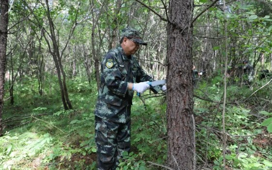 �򲩡�max(�й���)�����ٷ���վ-Unique Platform