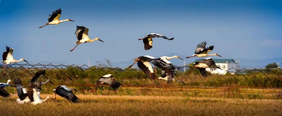 �򲩡�max(�й���)�����ٷ���վ-Unique Platform