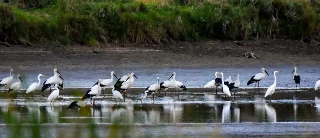 �򲩡�max(�й���)�����ٷ���վ-Unique Platform